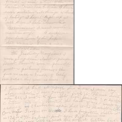p. 7-8