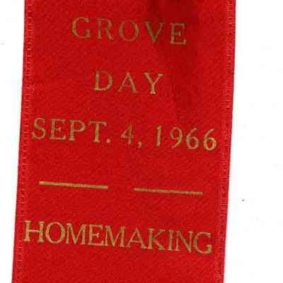 Buffalo Grove Day Homemaking Prize Ribbon