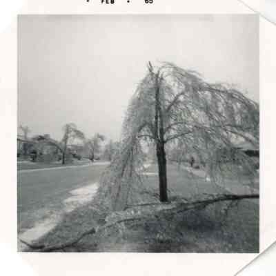 Ice Storm of 1965