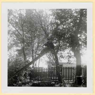 Child on slide, C. 1960s