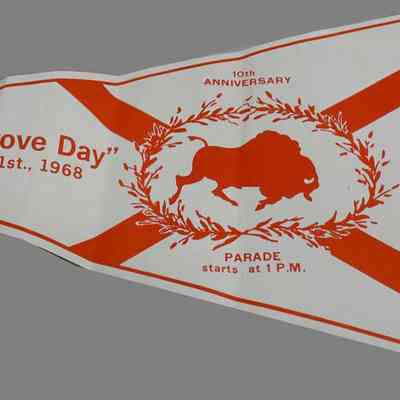 Buffalo Grove Day pennant