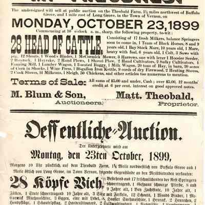 Public Auction Poster, M. Theobald. 1899