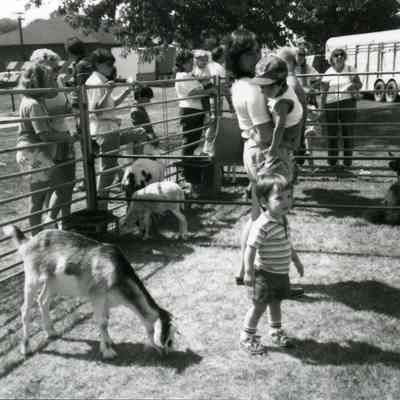Buffalo Grove Days petting zoo