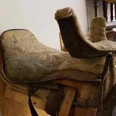 Saddle, Riding