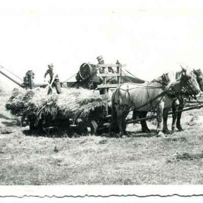 Leroy Raupp and Jake Raupp hay farming