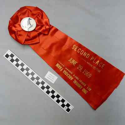 Ribbon, Prize