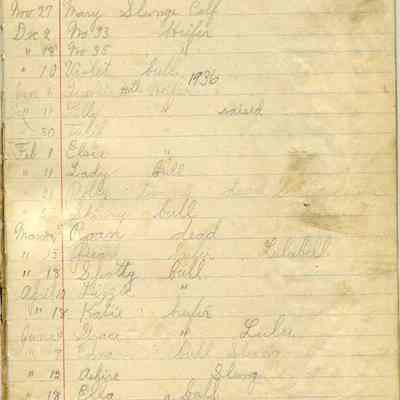 Raupp farm calves records
