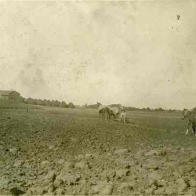 Plowing John Raupp farm