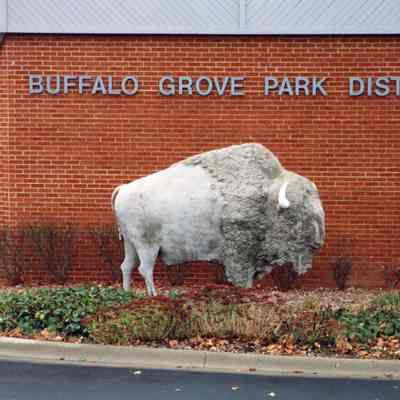 Buffalo Statue at BGPD