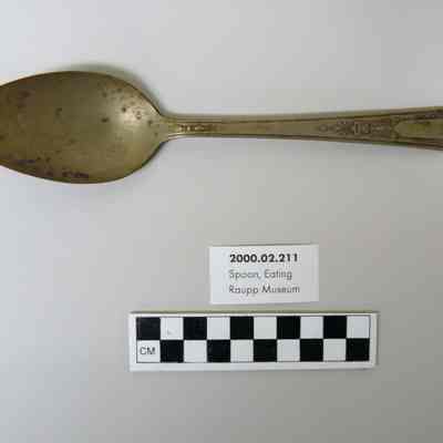 Spoon