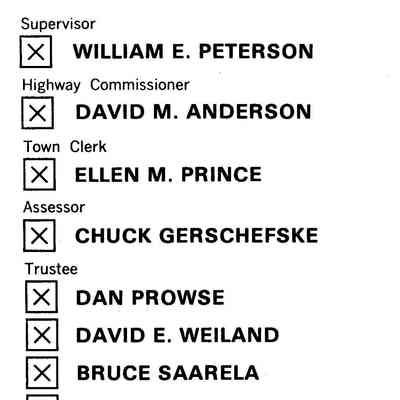 Vernon Township Party Pamphlet 1981