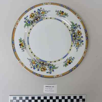 Dinner Plate