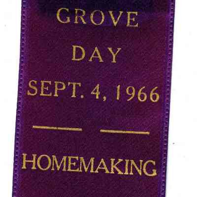Buffalo Grove Day Homemaking Prize Ribbon