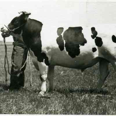 George Leikam and Bull