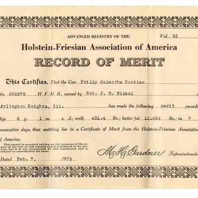 Record of Merit