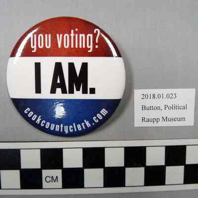 Voting Button