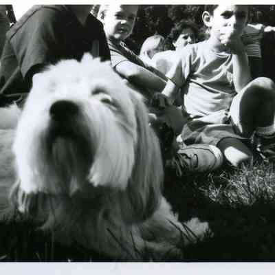 Park District dog contest