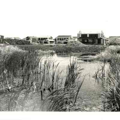 Subdivision Development