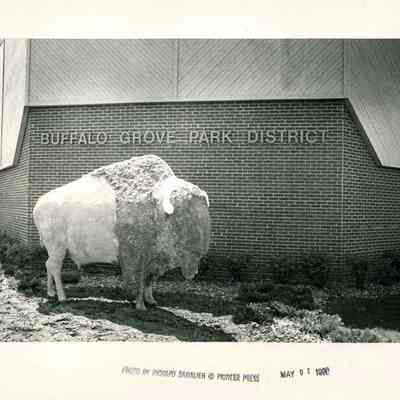 Buffalo Statue