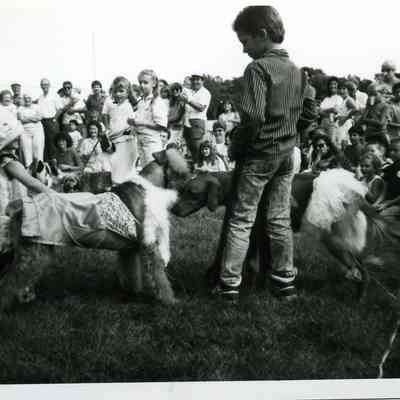 Park District dog contest