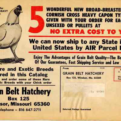 Grain Belt Hatchery Newspaper Ad