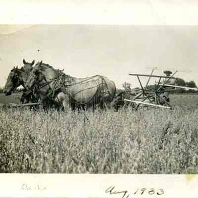 Carl Raupp plowing field