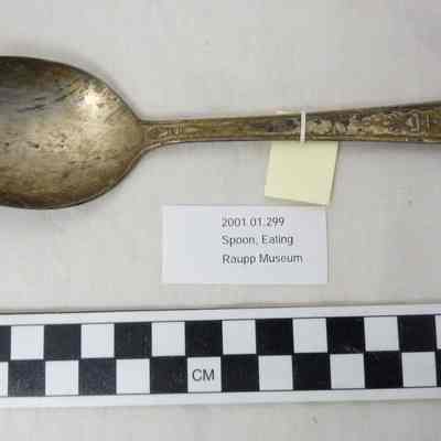 Serving/Soup Spoon