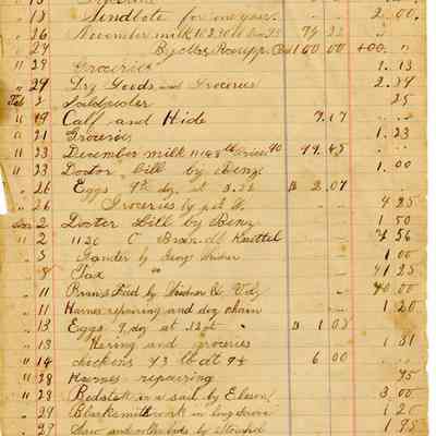 Spoerlein Kassa-Buch/ Cash Book 1895