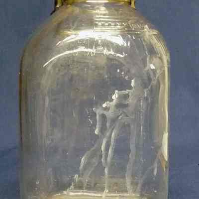 Bottle