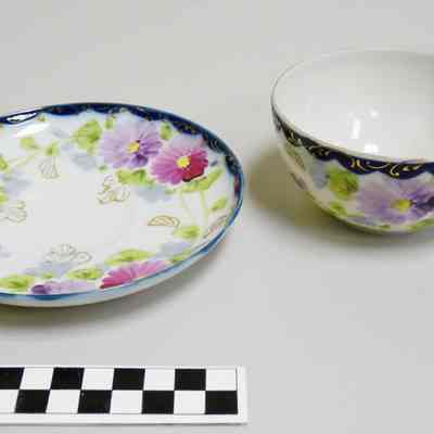 Saucer