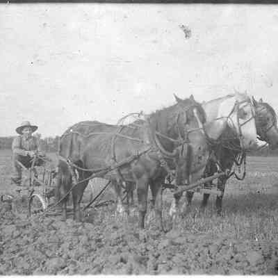 Carl Raupp plow