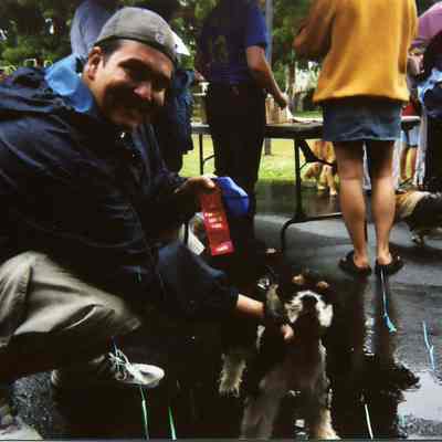 Park District dog contest