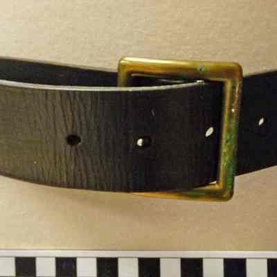 Belt