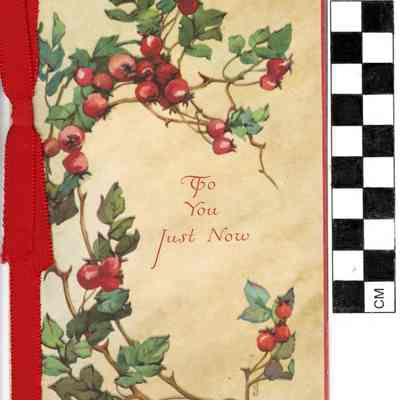 Christmas and New Year Card