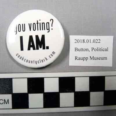 Voting Button