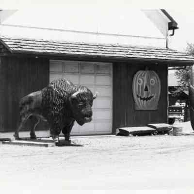 Buffalo Statue at Farm