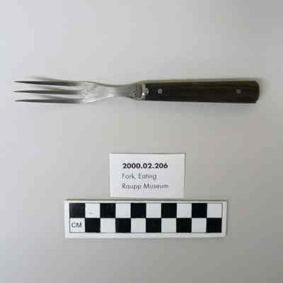 Fork