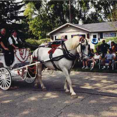 Buffalo Grove Days Parade horse