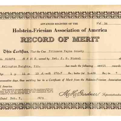 Record of Merit