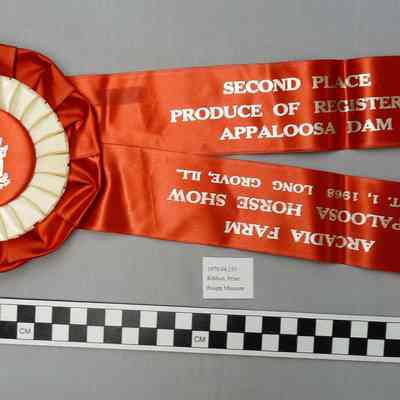 Ribbon, Prize