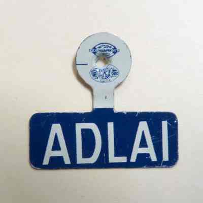 Adlai Stevenson Pin
