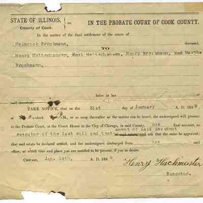 Probate Court of Cook County Probate Will