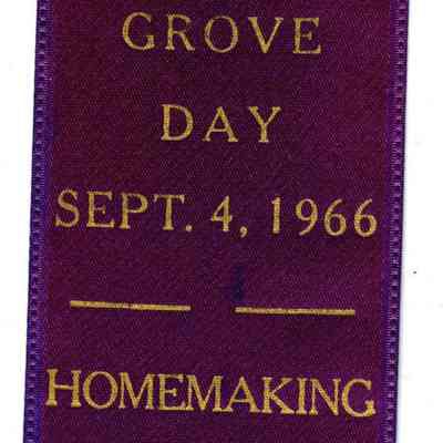 Buffalo Grove Day Homemaking Prize Ribbon