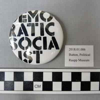 Democratic Socialist Button