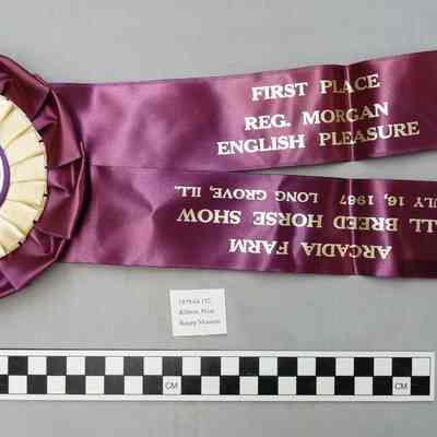 Ribbon, Prize