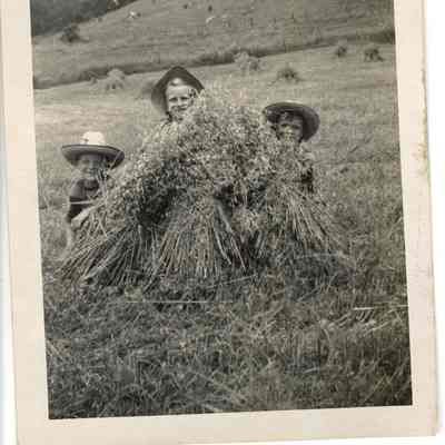 Tommie, Virgie, and Teddie in Hay Stack