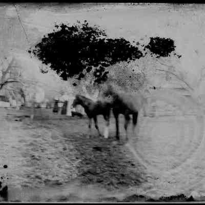 Negative