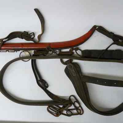 Harness
