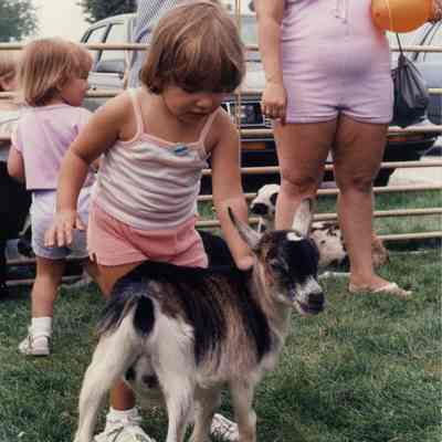 Buffalo Grove Days petting zoo