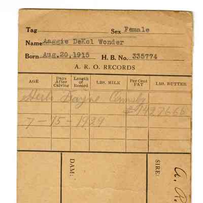 Envelope